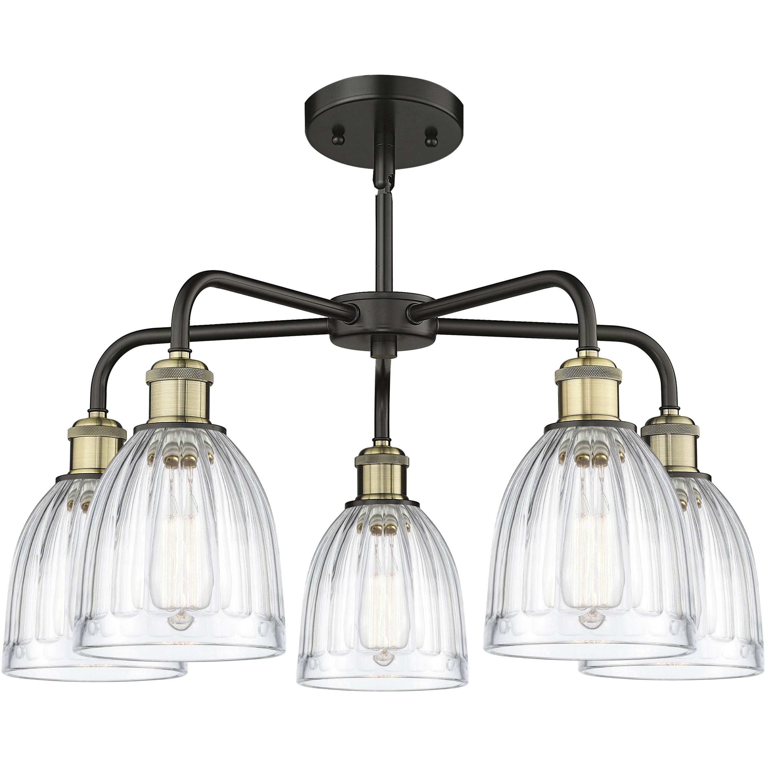Brookfield 5 Light 23.75 inch Black Antique Brass Chandelier Ceiling Light in Clear Glass