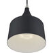 Bolita 8 inch Black with Brushed Nickel Accents Pendant Ceiling Light