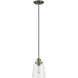 Fallon 1 Light 6 inch Graphite and Aged Brass Pendant Ceiling Light in Graphite with Aged Brass