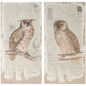 Lilith Owl 40 X 20 inch Prints
