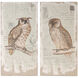 Lilith Owl 40 X 20 inch Prints