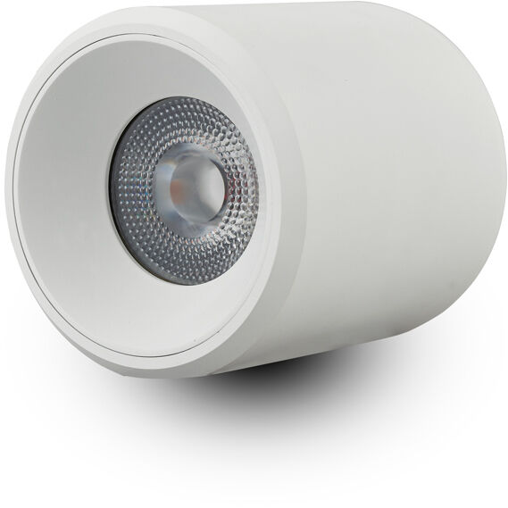 Ceiling surface downlight best sale