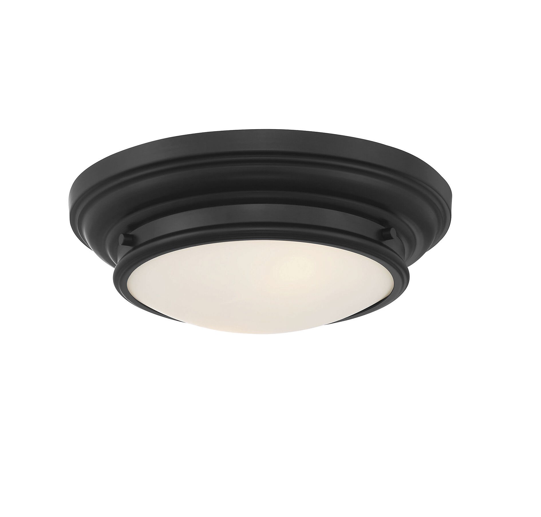 Transitional 2 Light 13 inch Matte Black Flush Mount Ceiling Light