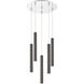 Forest LED 13.5 inch Chrome Chandelier Ceiling Light in Pearl Black Steel, 14