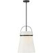 Tori 1 Light 14 inch Black Pendant Ceiling Light