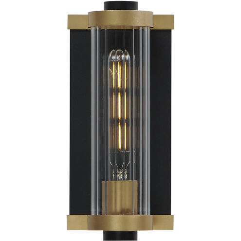 Opulent 1 Light 11 inch Black / Antique Brass Outdoor Wall Mount