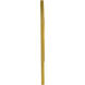 Anita 43.3 X 15.7 inch Gold Wall Mirror