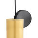 Saleen LED 6 inch Brass and Black Mini Pendant Ceiling Light