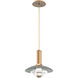 Cirrus LED 12 inch Novel Brass Pendant Ceiling Light in Smoke Granite, Medium