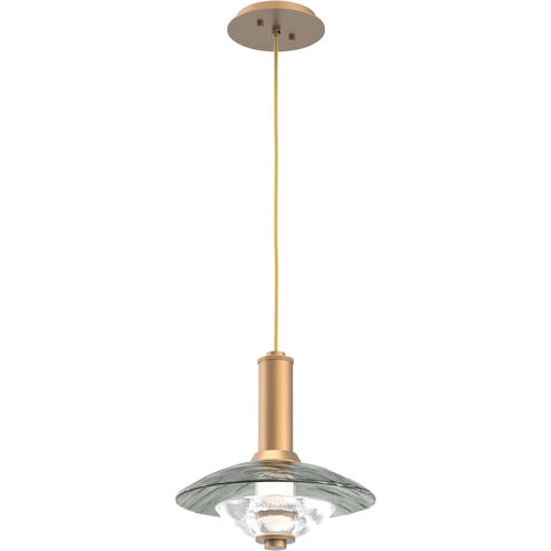 Cirrus LED 12 inch Novel Brass Pendant Ceiling Light in Smoke Granite, Medium