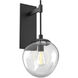 Aster Incandescent 1 Light 9.9 inch Matte Black Indoor Sconce Wall Light in Clear Aster, Tempo Nebula