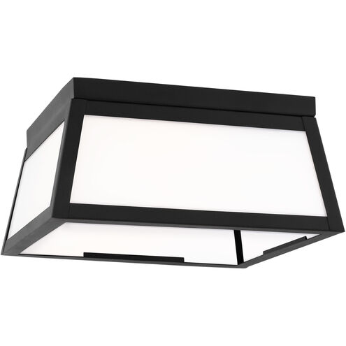 Founders 2 Light 11.5 inch Black Outdoor Flush Mount