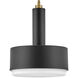 Cedric 2 Light 13 inch Black Indoor Pendant Ceiling Light