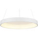 Conc LED 24 inch Matte White Pendant Ceiling Light