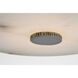 Anne-Marie Barton Lunara LED 14 inch Pewter Flush Mount Ceiling Light