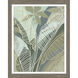 Tropical Botanical 28 X 22 inch Non-Glass Framed Art, Propac