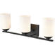 Durham 3 Light 22 inch Matte Black Vanity Light Wall Light