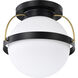Lakeshore 1 Light 13 inch Matte Black Flush Mount Ceiling Light