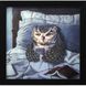 Animals Collection 11 X 11 inch Non-Glass Framed Art