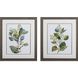 Florals Collection Green Framed Art