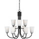 Miles 9 Light 29 inch Midnight Black Chandelier Ceiling Light