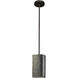 Radiance Collection 1 Light 5.5 inch Hammered Brass with Matte Black Pendant Ceiling Light