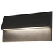 Dawn LED 9 inch Matte Black Wall Sconce Wall Light