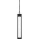 Amaris 1 Light 4 inch Black Outdoor Pendant