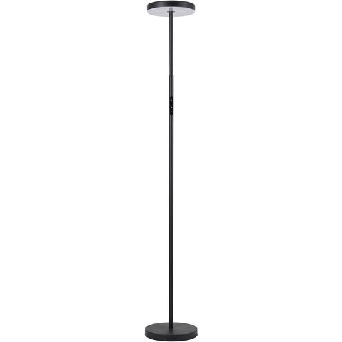 Francine 54 inch 30.00 watt Sandy Black Floor Lamp Portable Light