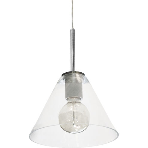 Roswell 1 Light 9 inch Satin Chrome with Clear Pendant Ceiling Light