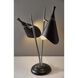 Draper 22 inch 60.00 watt Black Desk Lamp Portable Light