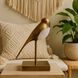 Hope 10.75 inch 5 watt Heritage Bronze Table Lamp Portable Light