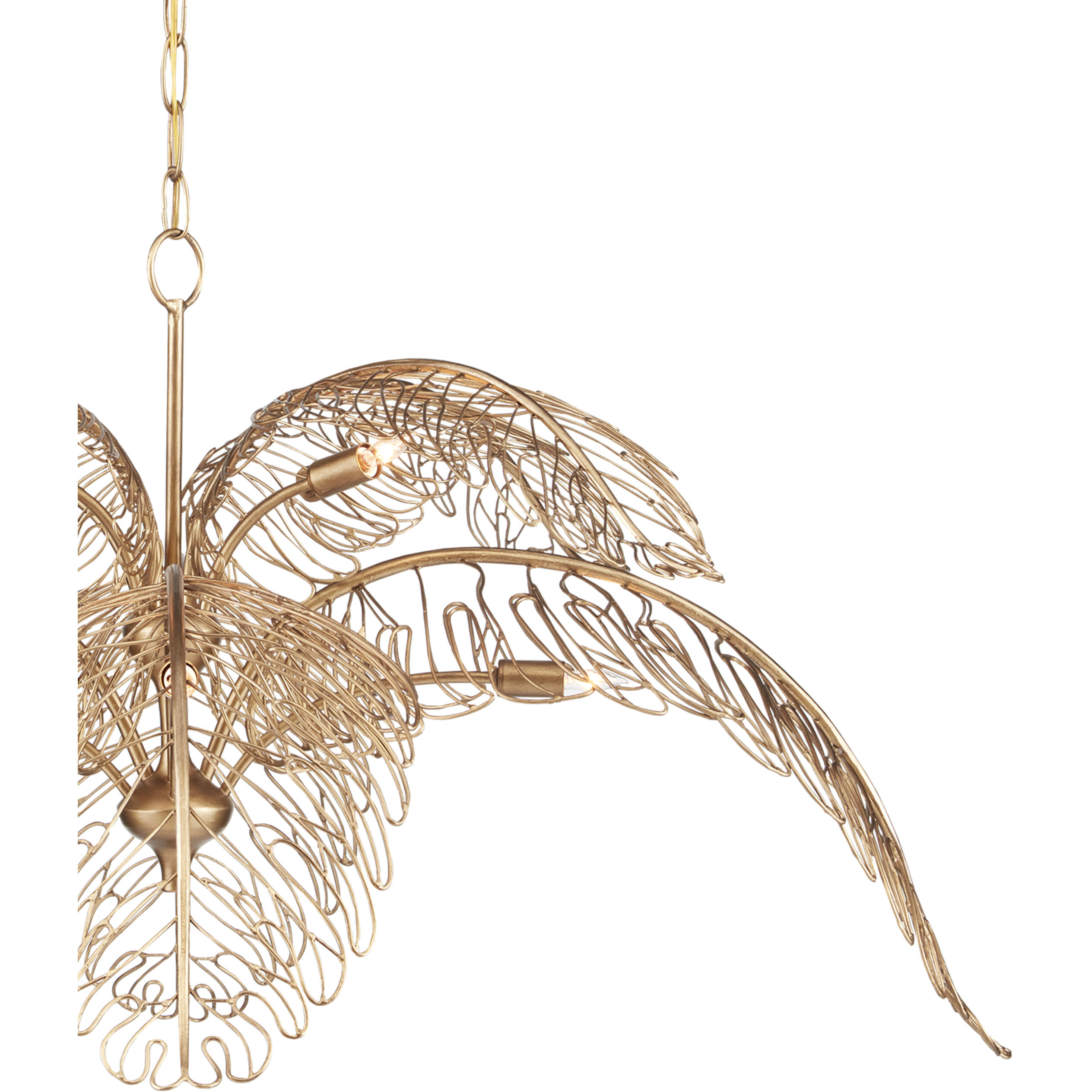 Taormina 8 Light 49.75 inch Brass Chandelier Ceiling Light