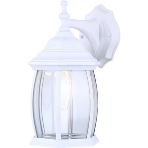 Madison 1 Light 7.75 inch White Outdoor Lantern, Downlight