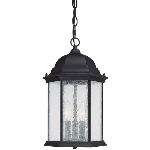 Severinus 3 Light 10 inch Black Outdoor Hanging Lantern