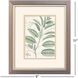 Propac Green and Beige Framed Art, Propac