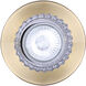 Elsee 1 Light Black/Gold Track Lighting Ceiling Light