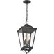 Savannah 4 Light 10 inch Sand Coal Outdoor Chain Hung, The Great Outdoors