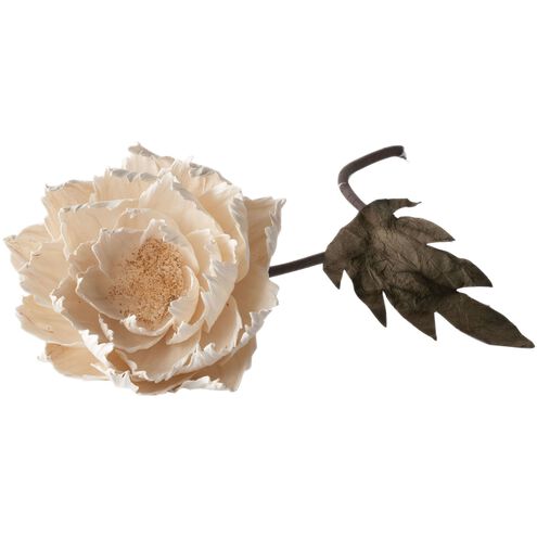 Poppy Flower Cream Object