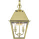 Wentworth 2 Light 17 inch Natural Brass Outdoor Wall Lantern, Medium