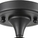 Edison Adirondack 1 Light 8.25 inch Matte Black Semi-Flush Mount Ceiling Light
