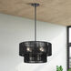 Acordia 4 Light 20 inch Black Pendant Chandelier Ceiling Light
