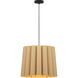 Renata 1 Light 22 inch Black/Ash Pendant Ceiling Light in Ash/Ash, 22 in / Medium