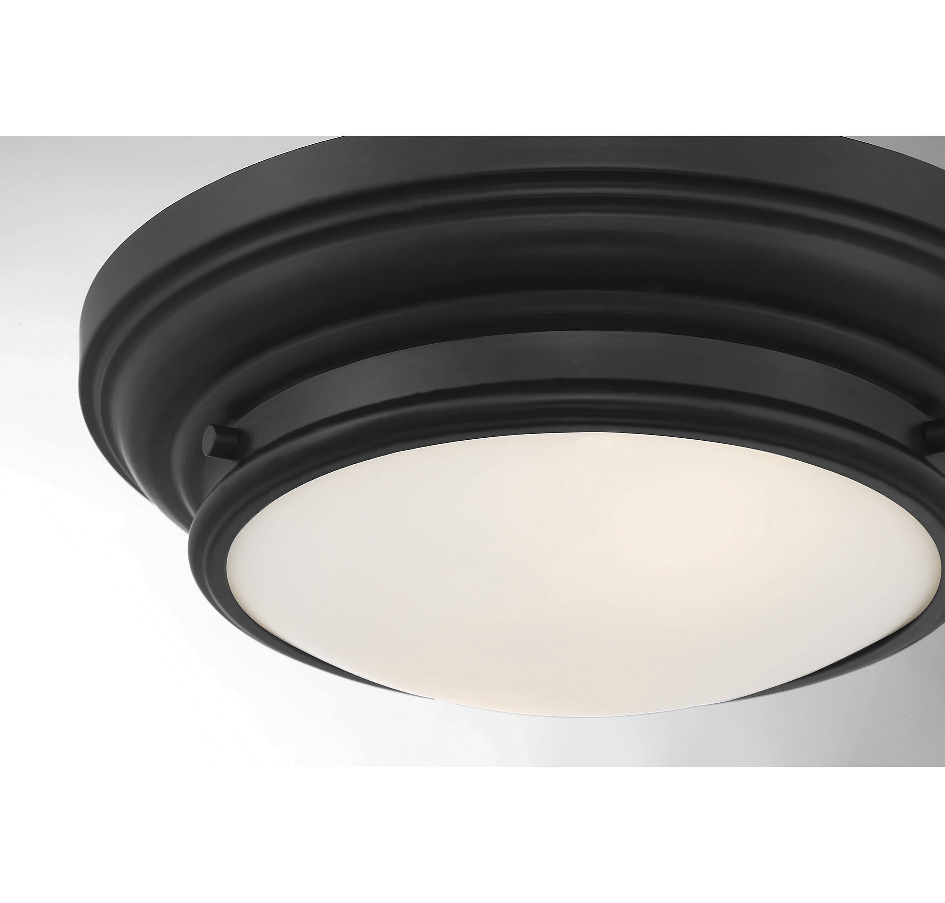 Transitional 2 Light 13 inch Matte Black Flush Mount Ceiling Light
