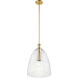 Transitional 1 Light 14 inch Natural Brass Pendant Ceiling Light