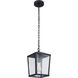 Olsen 1 Light 8 inch Midnight Outdoor Pendant