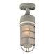 Cage 1 Light 4.5 inch Silver Outdoor Semi-Flush Mount