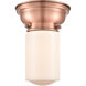 Aditi Dover 1 Light 6 inch Antique Copper Flush Mount Ceiling Light in Matte White Glass, Aditi