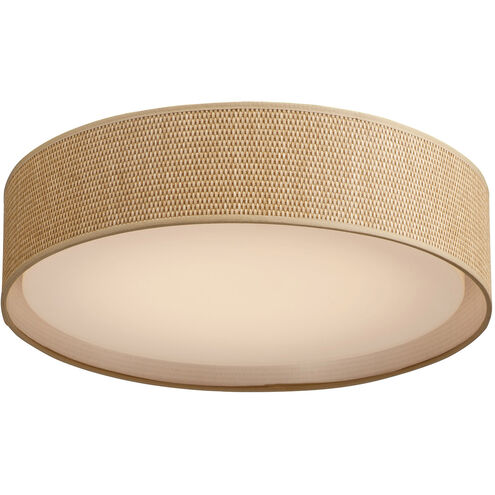 Prime LED 20 inch Flush Mount Ceiling Light