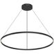 Cerchio Pendant Ceiling Light in Black
